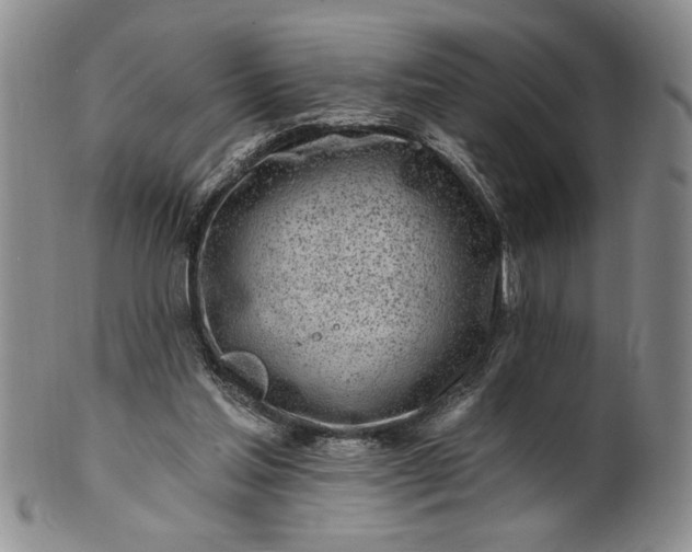 X0000100970205200807081227