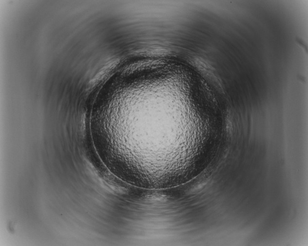 X0000100970206200807081227