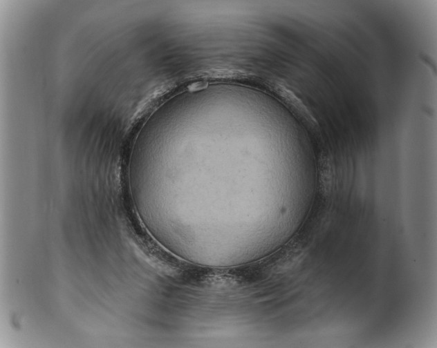 X0000100970207200807081227