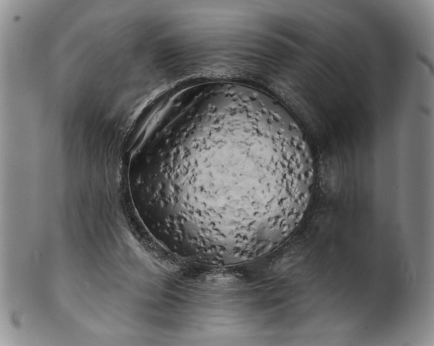 X0000100970208200807081227