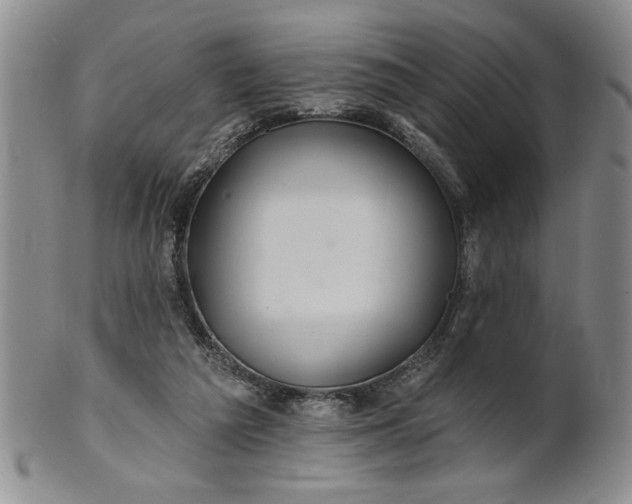 X0000100970209200807081227