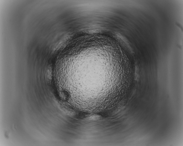 X0000100970210200807081227