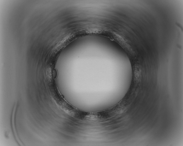 X0000100970211200807081227