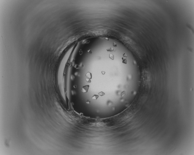 X0000100970212200807081227