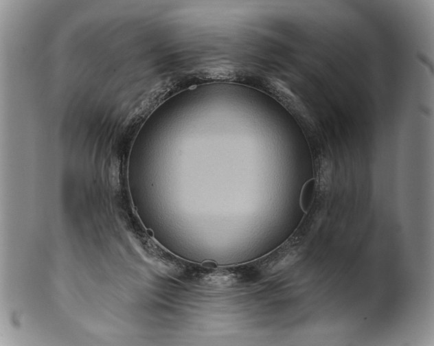 X0000100970213200807081227