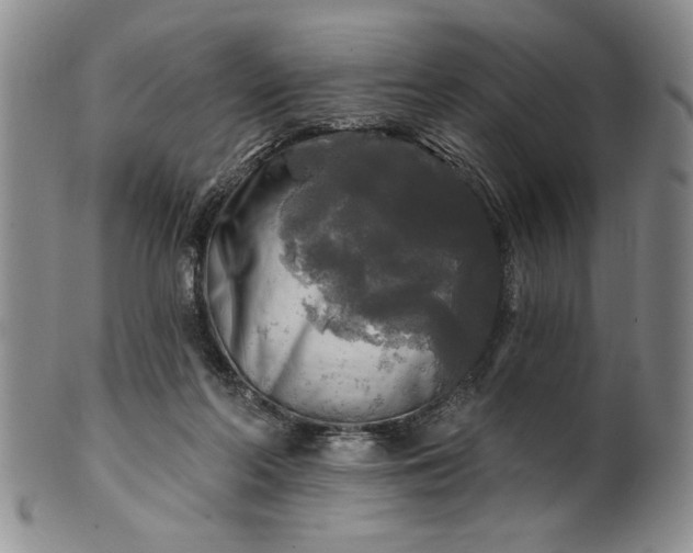 X0000100970214200807081227