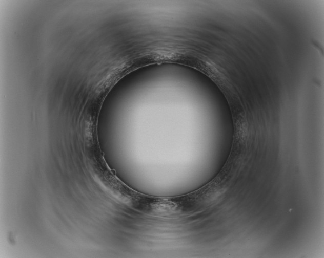 X0000100970215200807081227