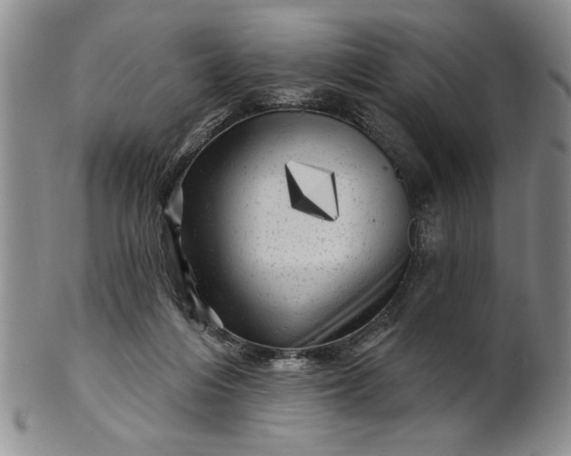 X0000100970216200807081227