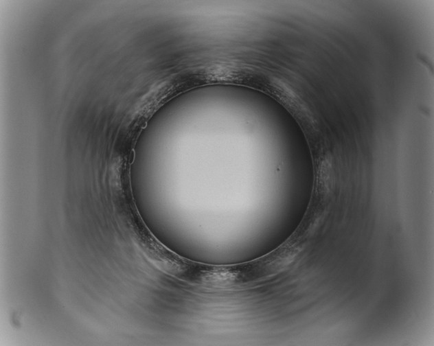 X0000100970217200807081227