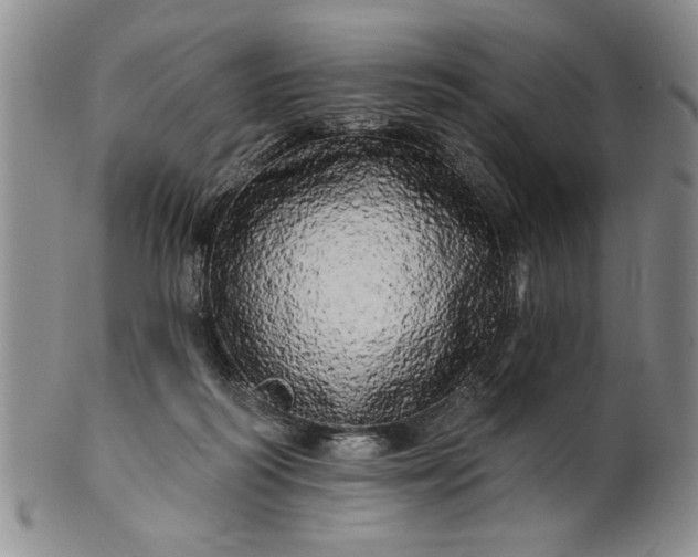 X0000100970218200807081227