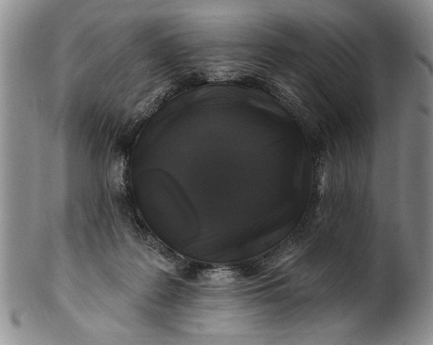 X0000100970219200807081227