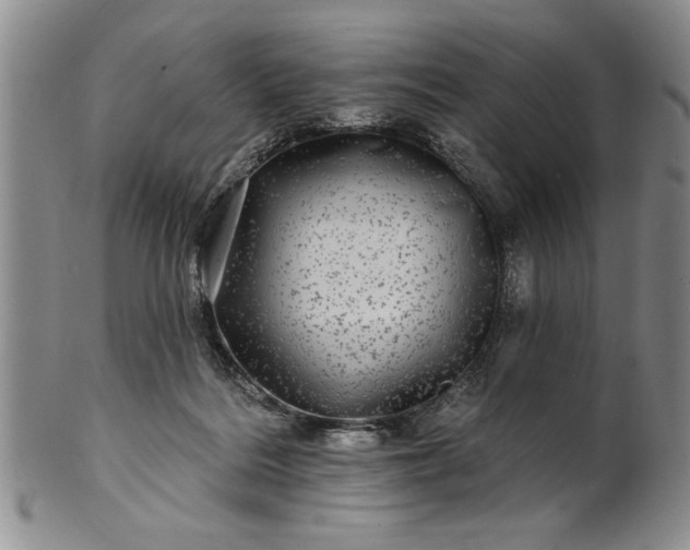 X0000100970220200807081227