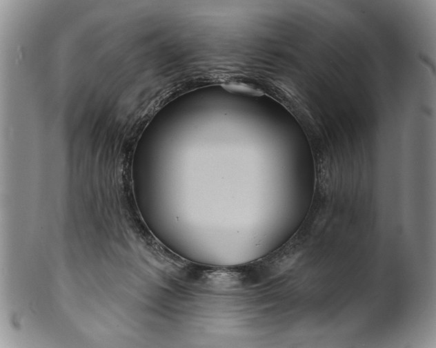 X0000100970221200807081227