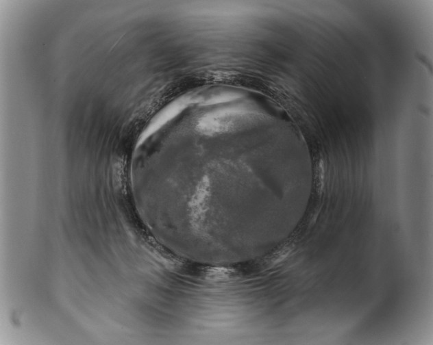 X0000100970222200807081227