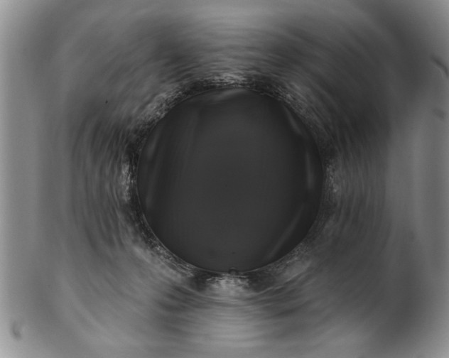 X0000100970223200807081227