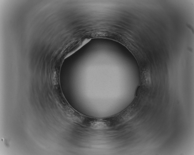 X0000100970224200807081227