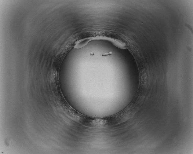 X0000100970225200807081227