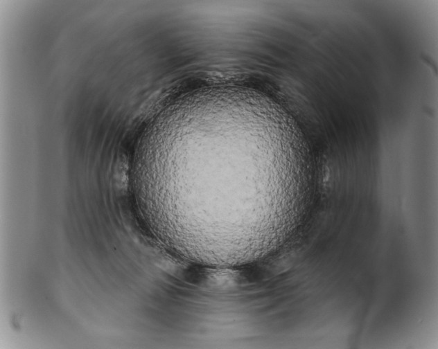 X0000100970226200807081227
