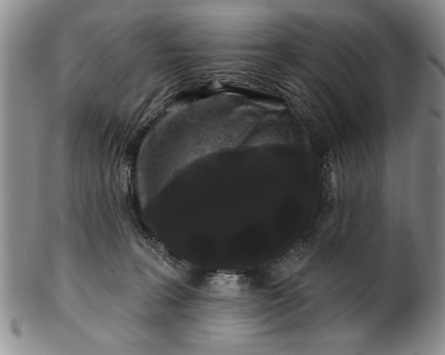 X0000100970227200807081227