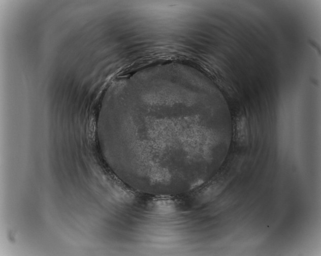 X0000100970228200807081227