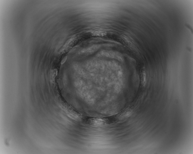X0000100970229200807081227