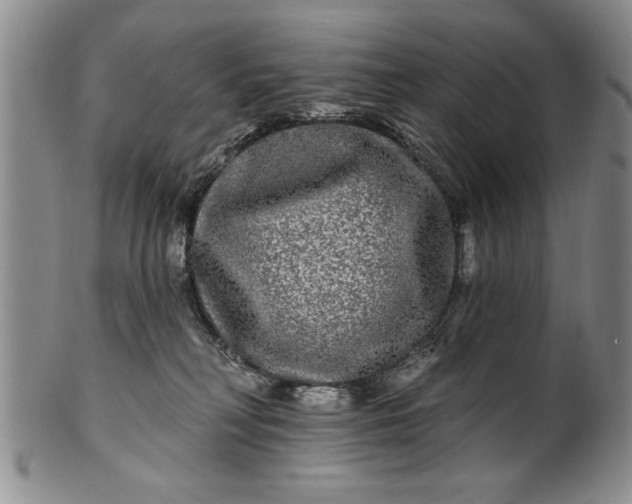 X0000100970230200807081227