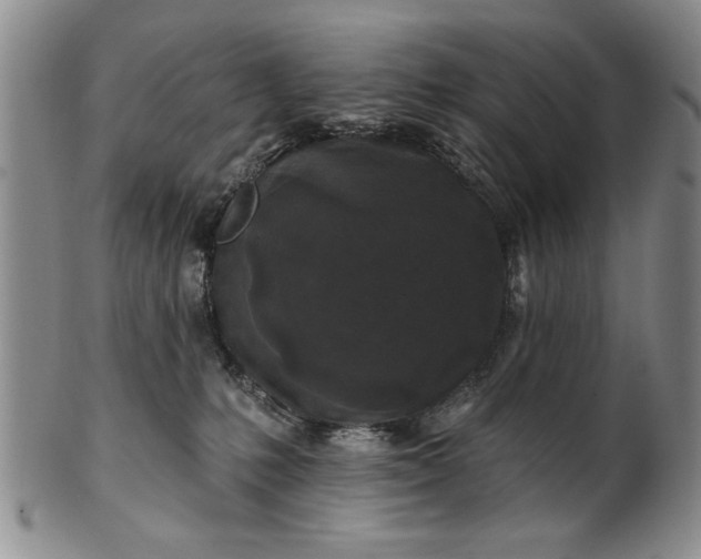 X0000100970231200807081227