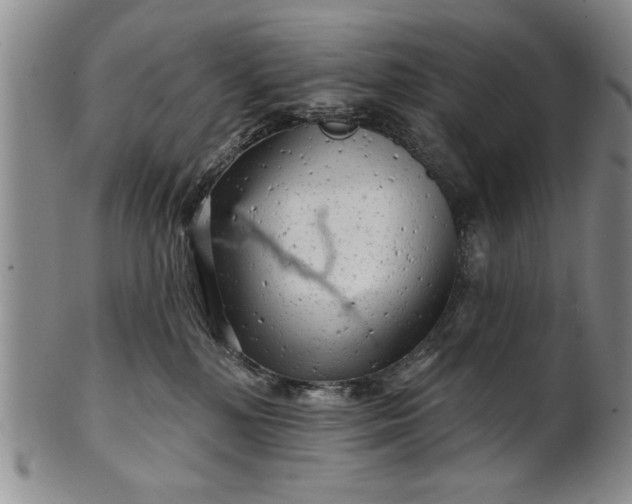 X0000100970232200807081227