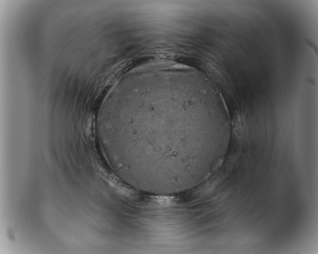 X0000100970233200807081227
