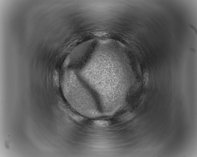 X0000100970234200807081227