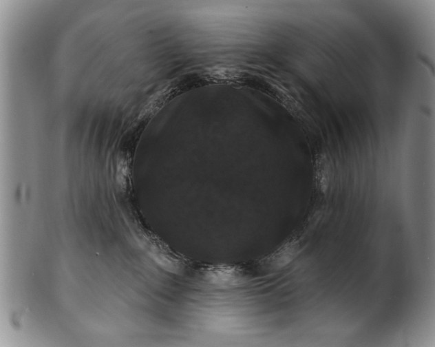 X0000100970235200807081227