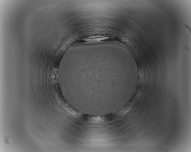 X0000100970237200807081227