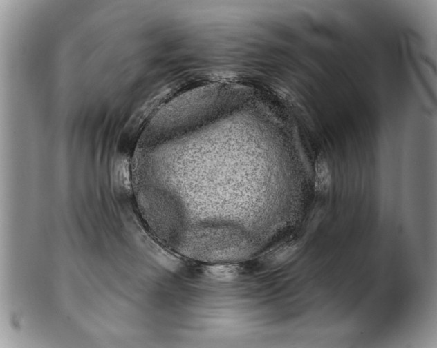 X0000100970238200807081227