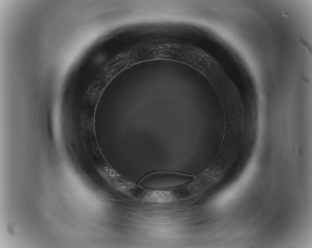 X0000100970239200807081227