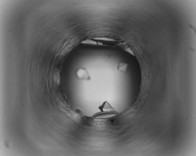 X0000100970240200807081227