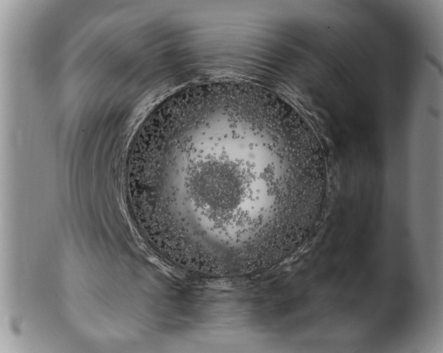 X0000100970241200807081226