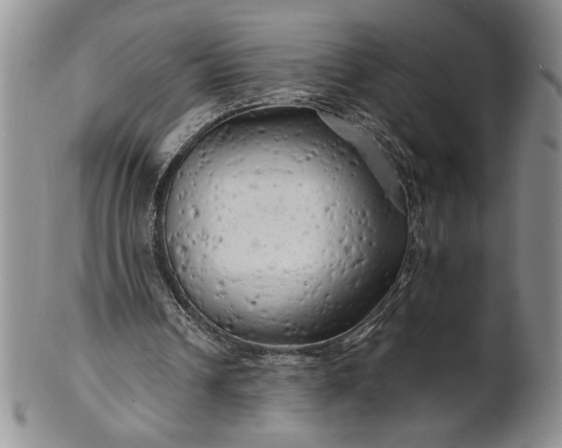 X0000100970242200807081226