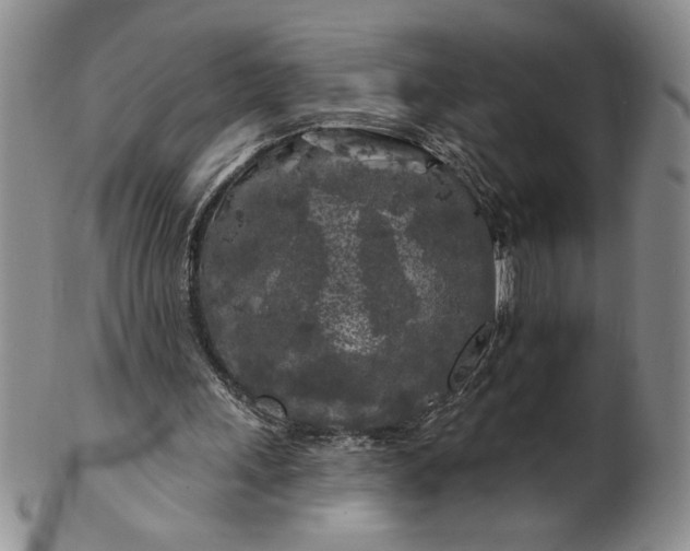 X0000100970243200807081226