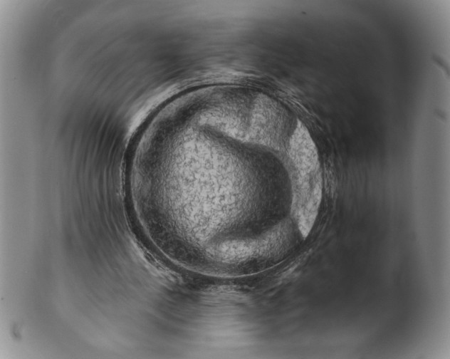 X0000100970244200807081226