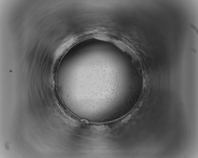 X0000100970245200807081226