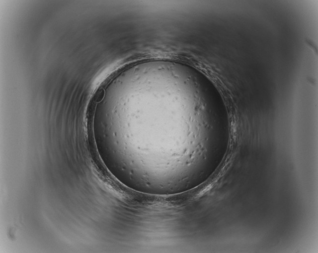 X0000100970246200807081226