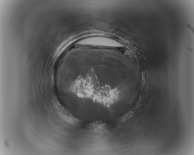 X0000100970247200807081226