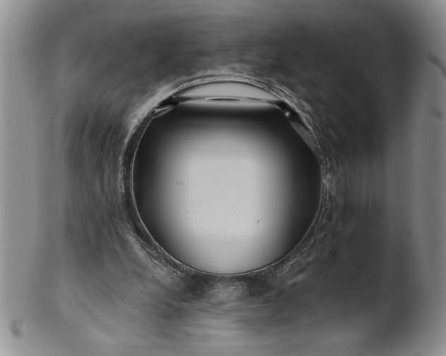 X0000100970248200807081226