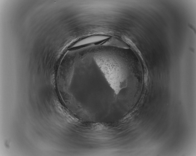 X0000100970249200807081226