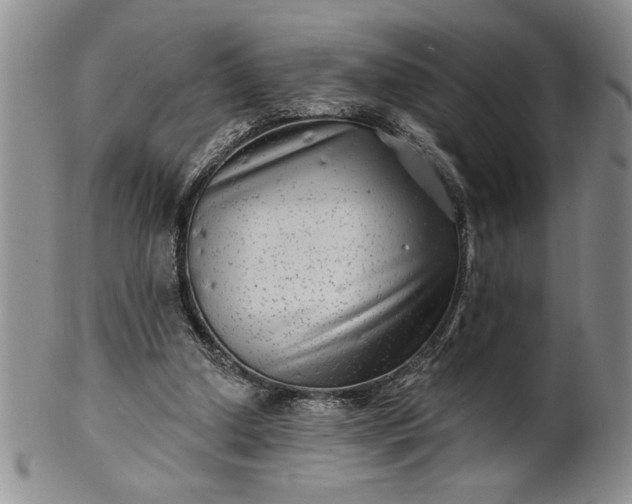 X0000100970250200807081226