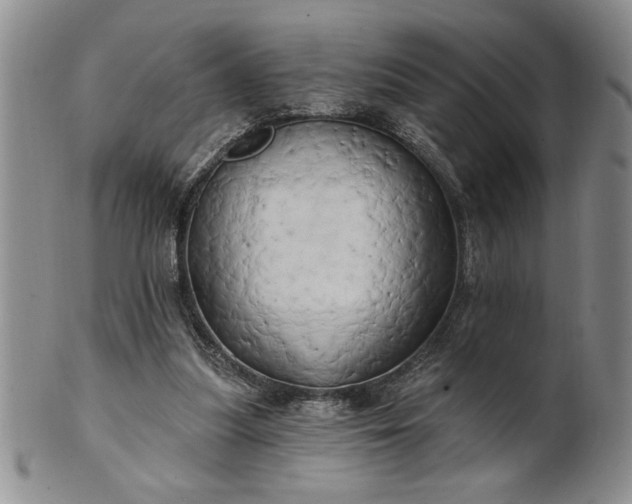 X0000100970251200807081226