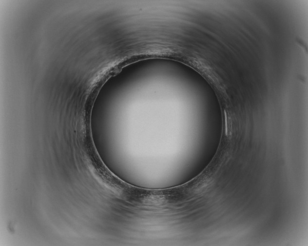 X0000100970252200807081226