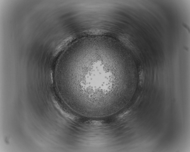 X0000100970254200807081226