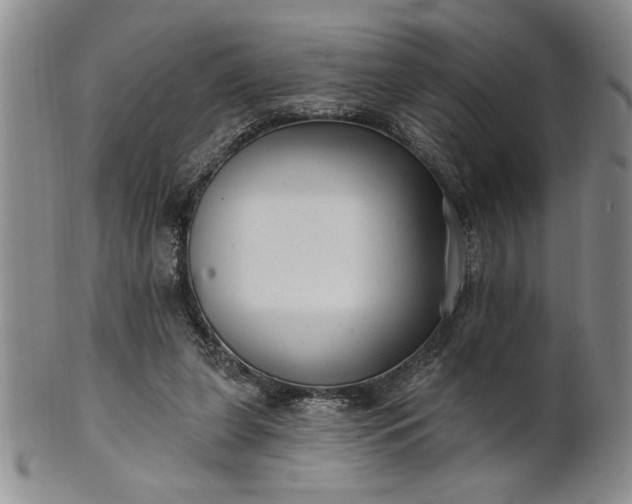 X0000100970255200807081226