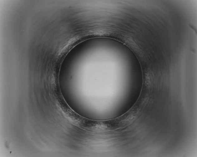 X0000100970256200807081226